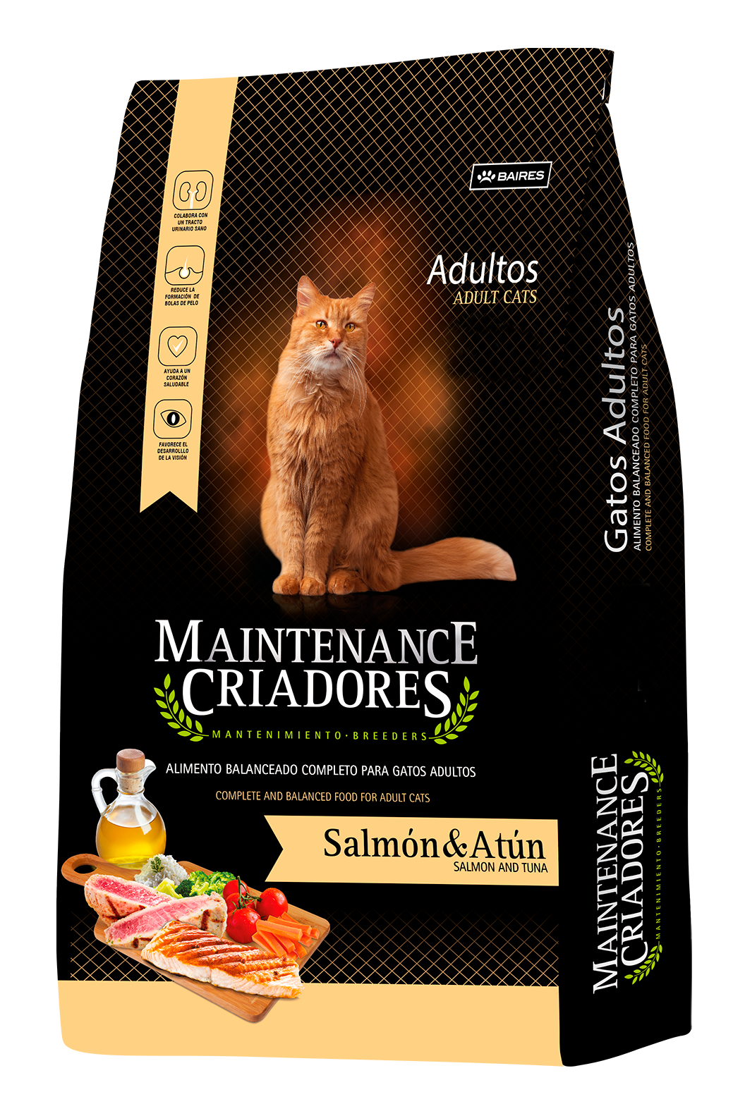 Kongo Maintenance Gato Adulto