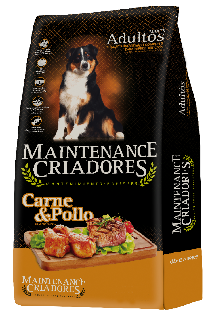 Kongo Maintenance para Perro Adulto