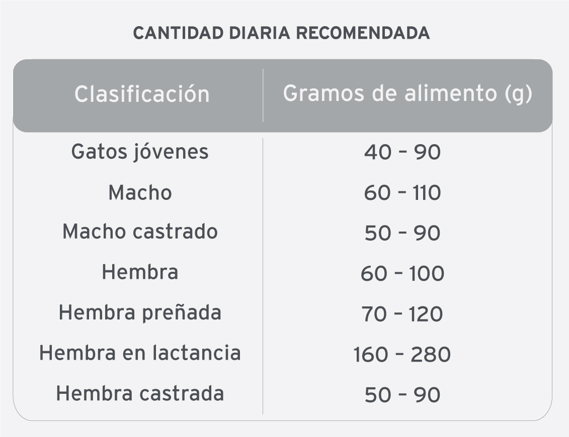 Voraz para Gato Adulto - 2