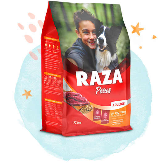 Raza Carne para Perro Adulto