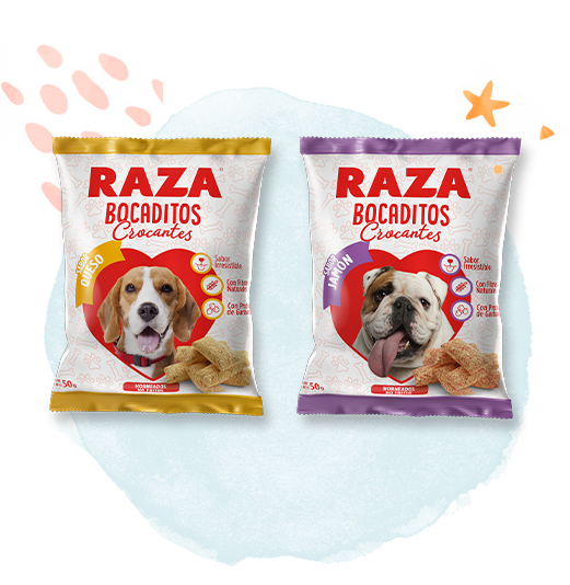 Raza Bocaditos Crocantes para Perro Cachorro y Adulto