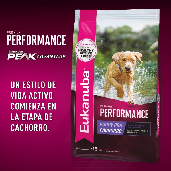 Eukanuba Premium Performance Puppy Pro para Perro Cachorro - 2