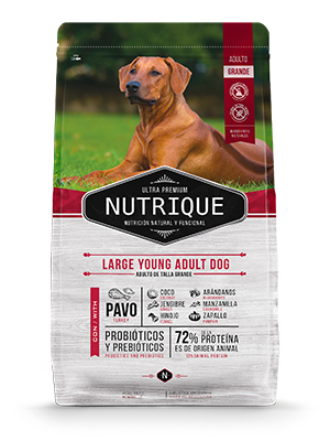 Nutrique Adulto Large para Perro Adulto Grande